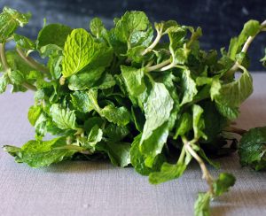 Mint Leaves